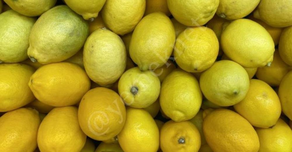 Limon Nasıl Saklanır? Ne Kadar Dayanır?