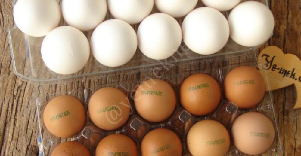 Bozulan Yumurta Nasıl Anlaşılır?