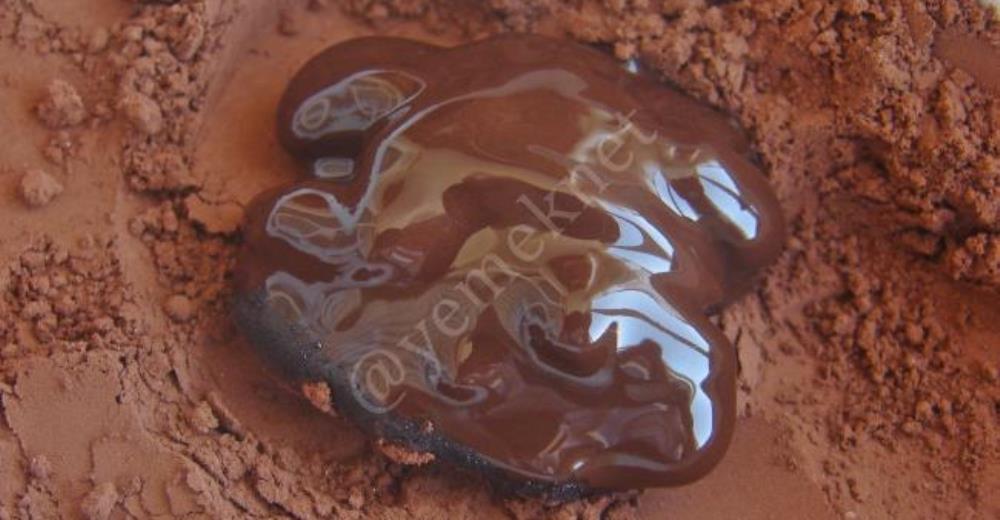 Chocolate Covered Walnut Recipe